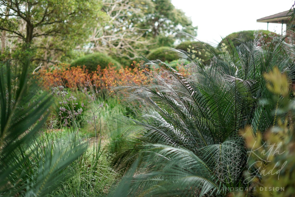 Bundeena – Kath Gadd Landscape Design