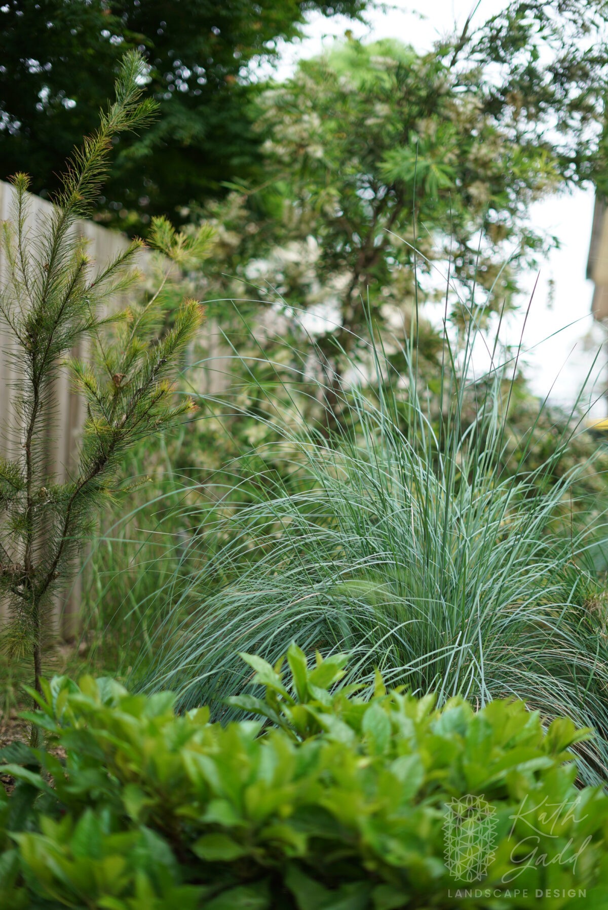 Ashfield Rear Garden Kath Gadd Landscape Design