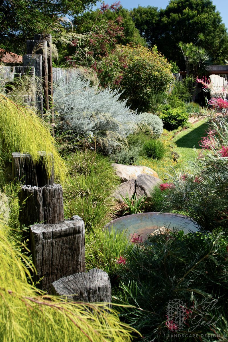 Haberfield: Rear Garden – Kath Gadd Landscape Design