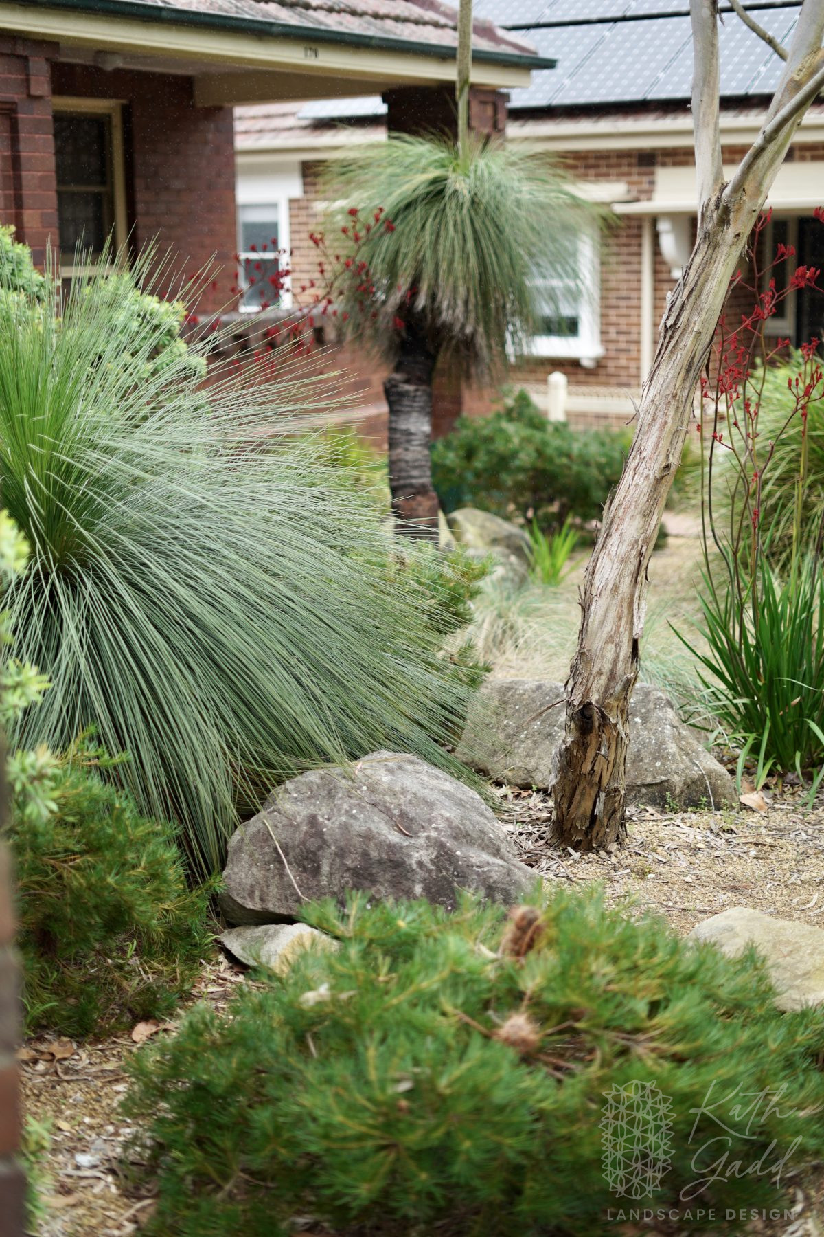 Ashfield Front Garden Kath Gadd Landscape Design