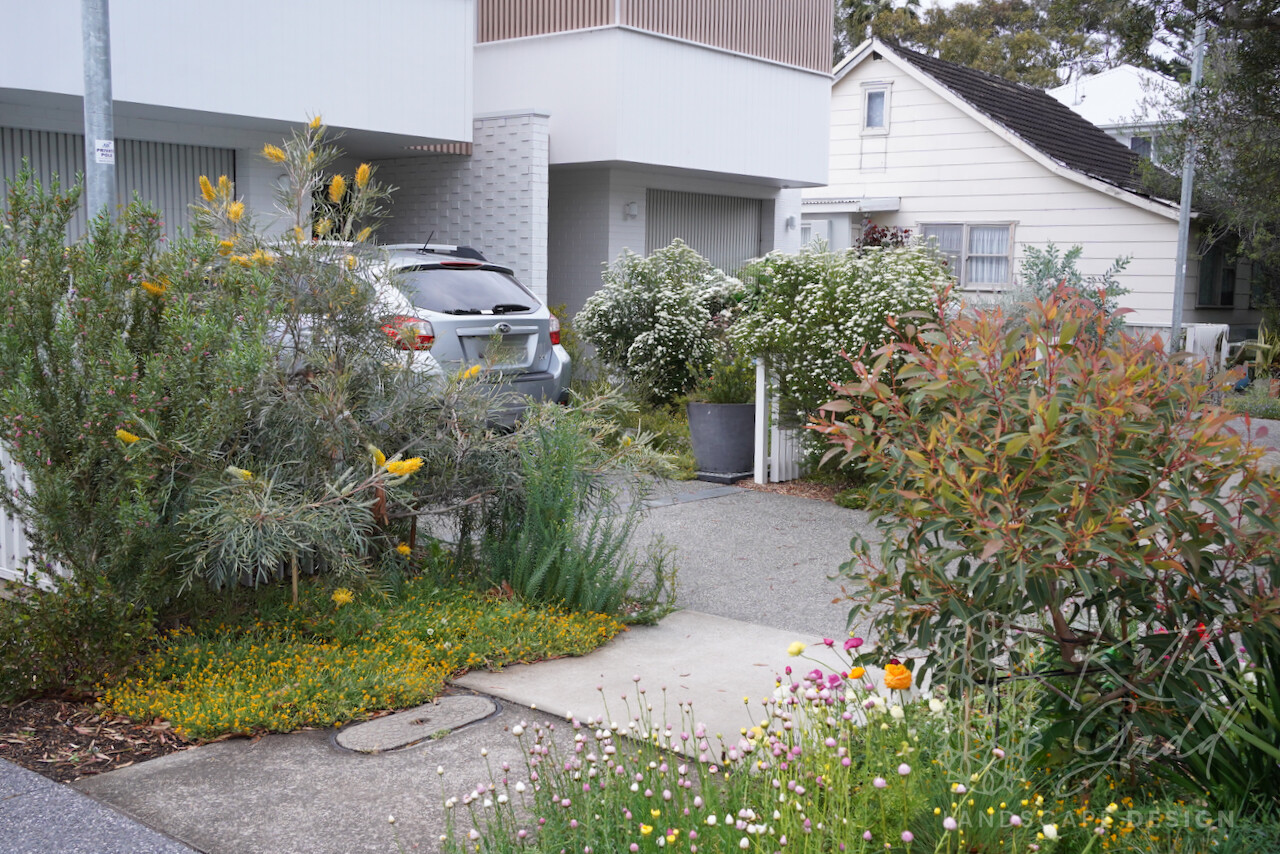 DSC00453