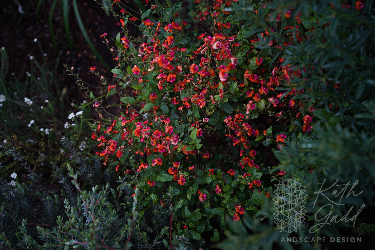 DSC00539