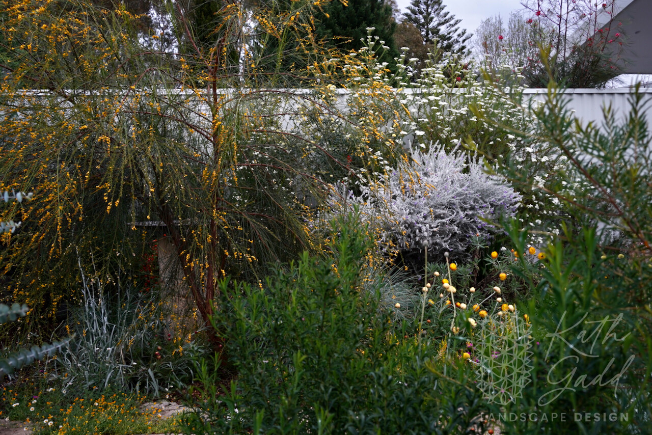 DSC00562