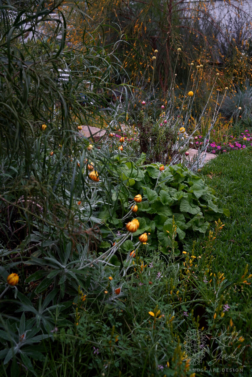 DSC00638